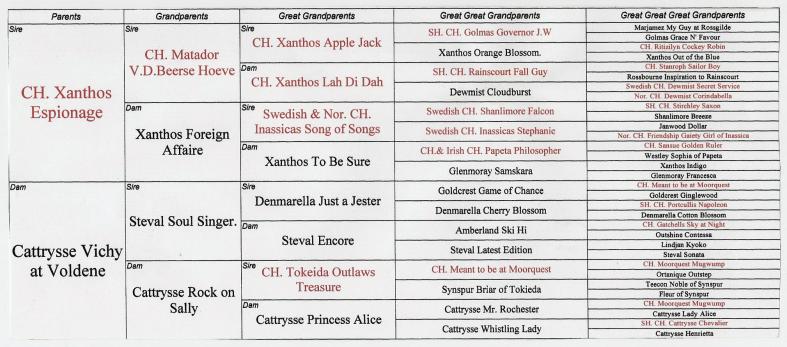 Bella's Pedigree