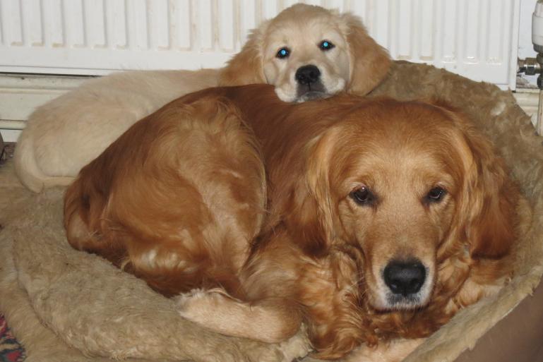 Bella with her daughter Sophie