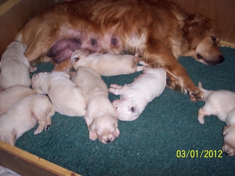 Sleeping With Mum