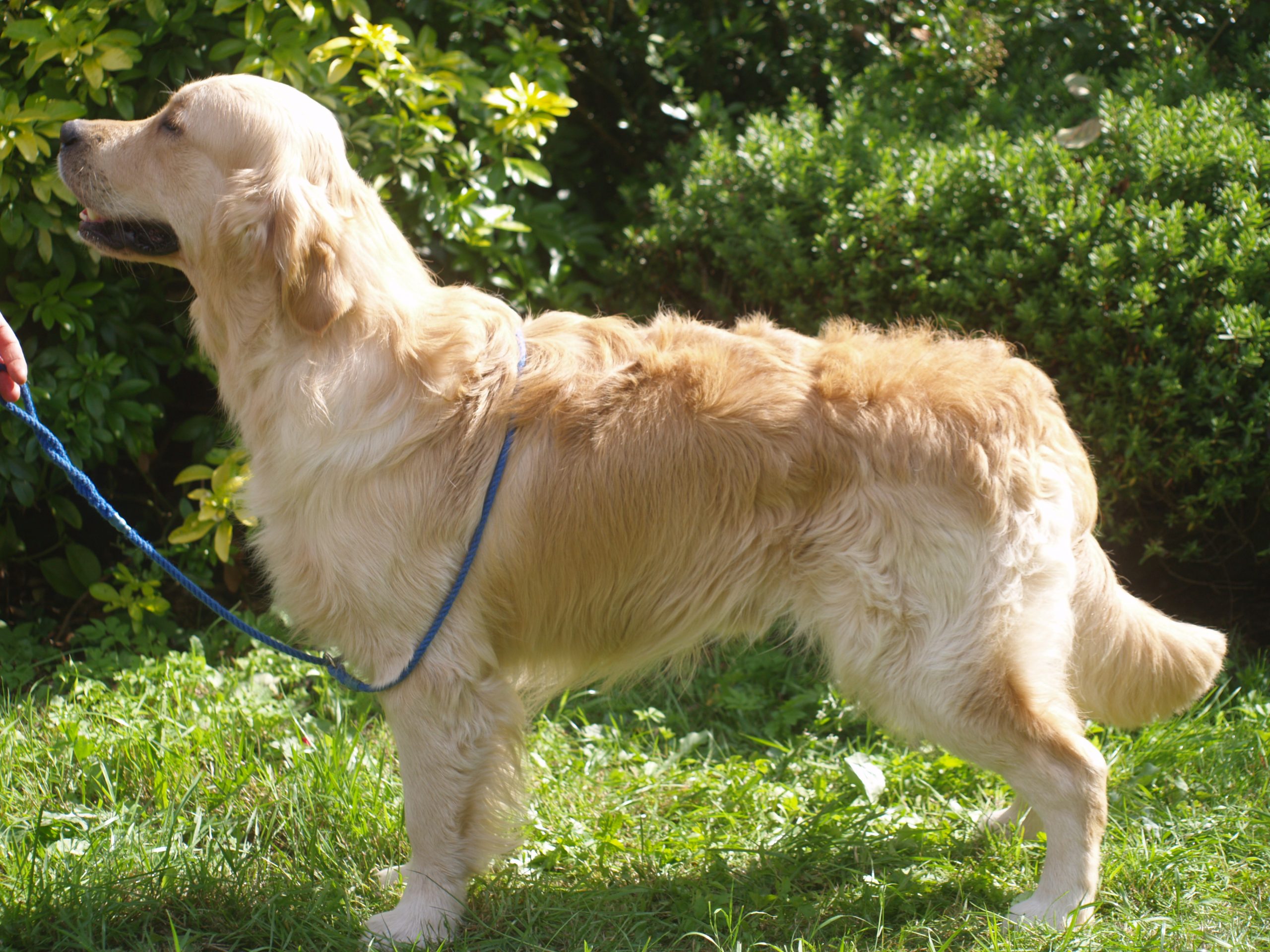 Cloud in profile