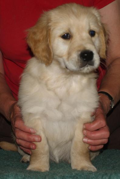 Elsa sitting at 8 weeks