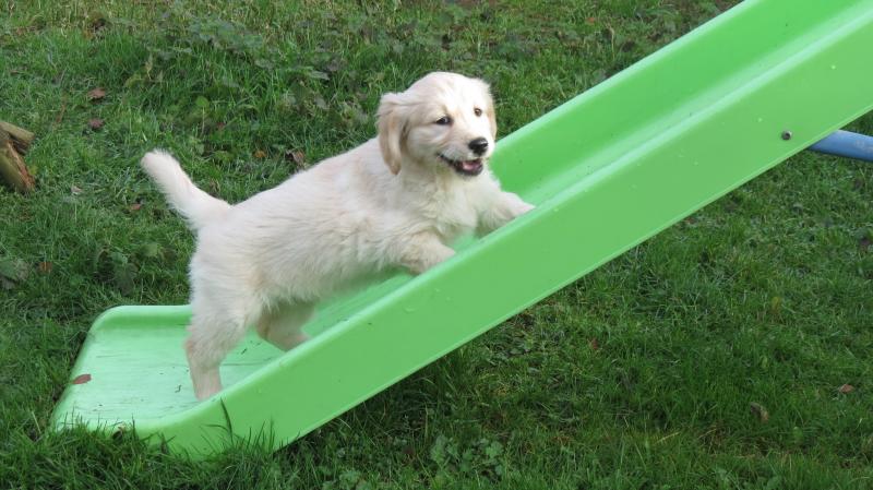Playing on Slide