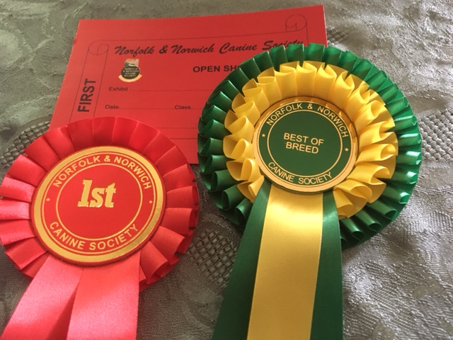 Rosettes from show 27.08.17