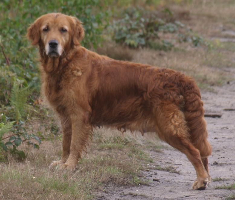 Sasha at nearly 7 years old.